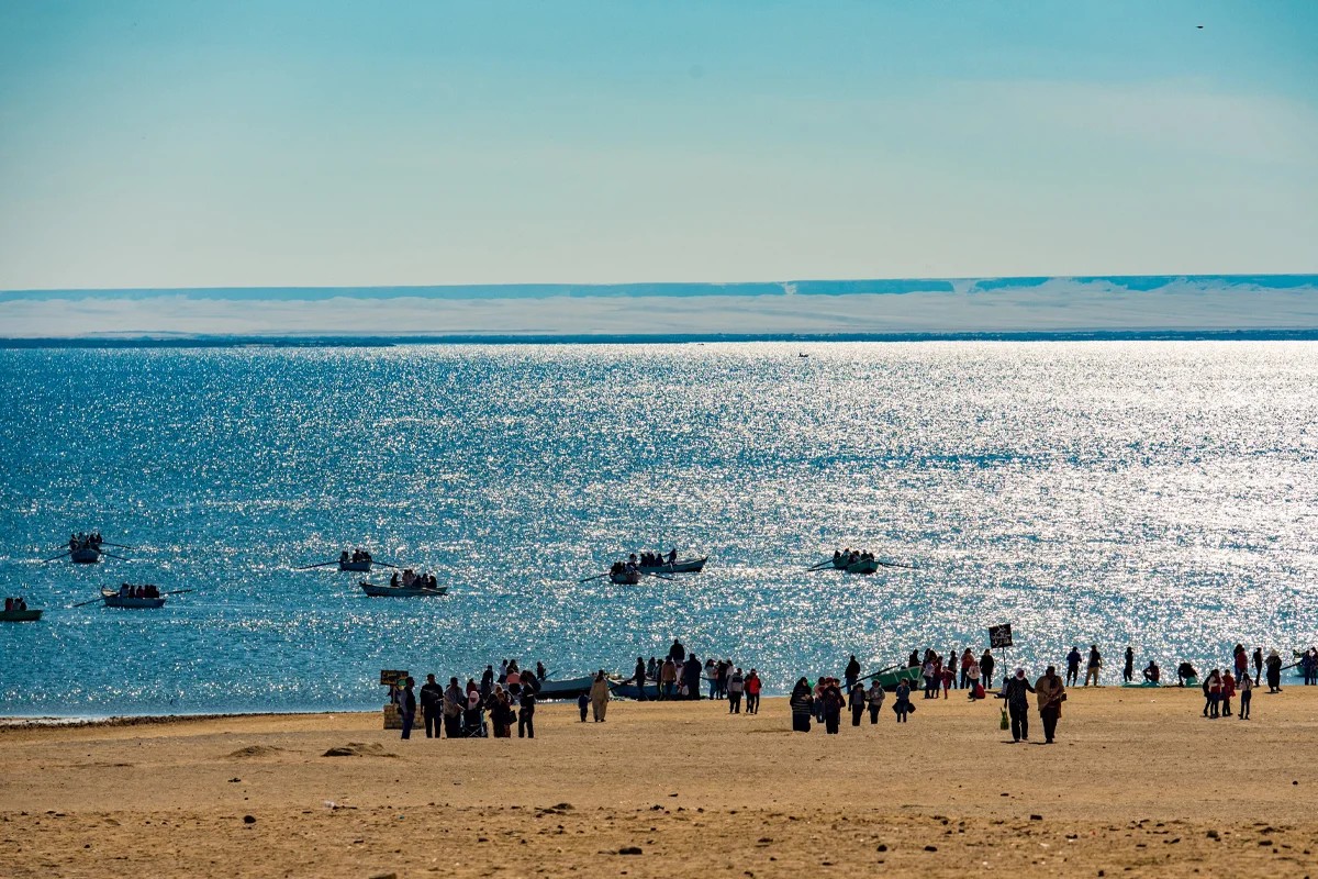 Over Day Tour To Fayoum City From Cairo By Car