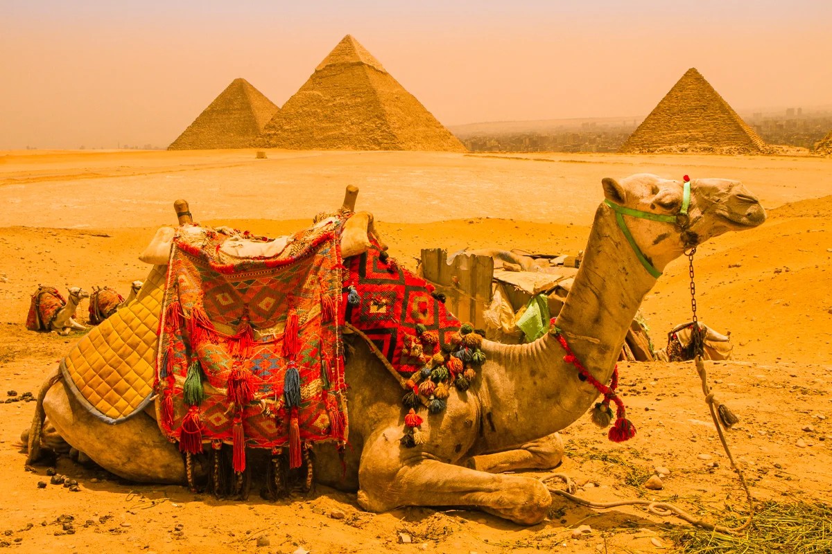10 Days Cairo Alexandria Nile Cruise & Siwa by Flight
