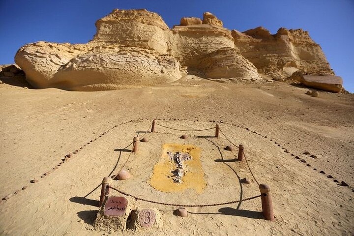 Allinclusive Private Tour Fayoum Oasis Waterfalls &Valley of Wales